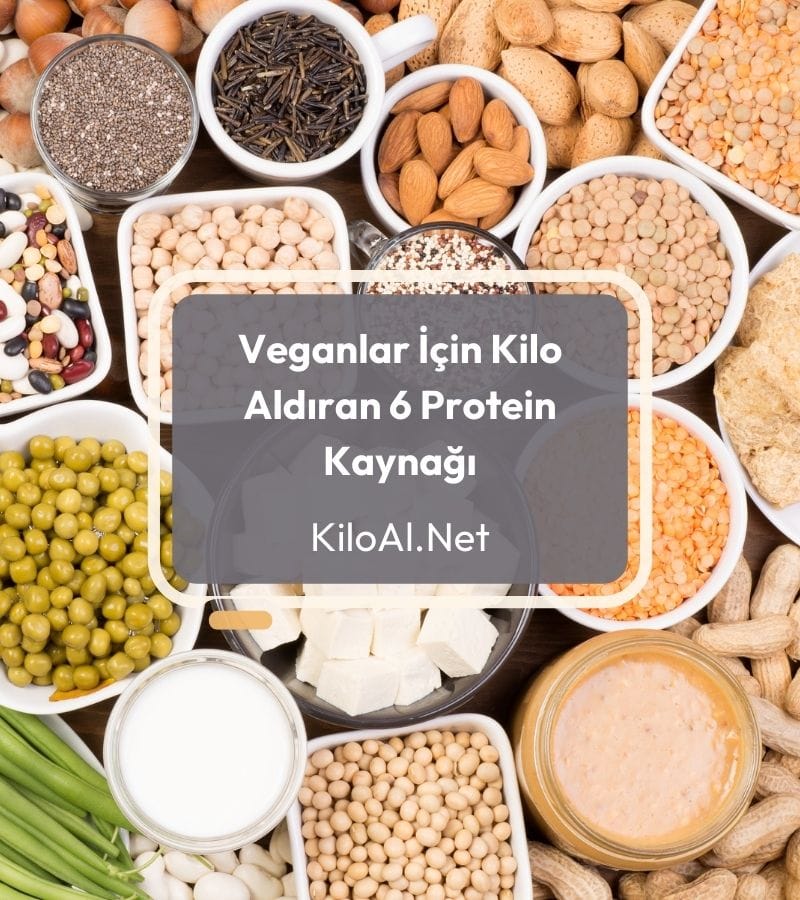 Veganlar İçin Kilo Aldıran Protein Kaynakları Veganlar İçin Kilo Aldıran Protein Kaynakları - KiloAl.net
