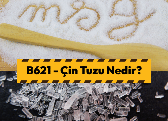 Çin Tuzu (MSG) Nedir? Zararları ve Etkileri - B621 B621 Çin Tuzu (MSG) Nedir? Zararları ve Etkileri - KiloAl